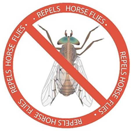 Dragonfly Wingman - Survival Gear Canada